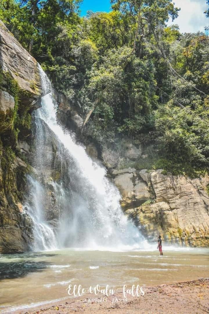 Dinimuthu Rest Inn Wellawaya Kültér fotó